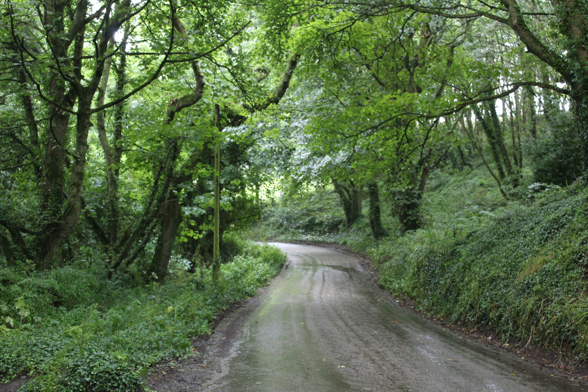 woman wearing yellow long-sleeved dress under white clouds and blue sky during daytime