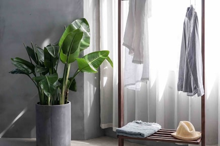 gray dress shirt hang on brown wooden rack in front of window with white curtain