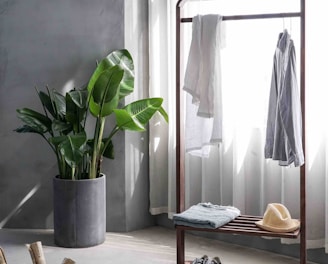 gray dress shirt hang on brown wooden rack in front of window with white curtain
