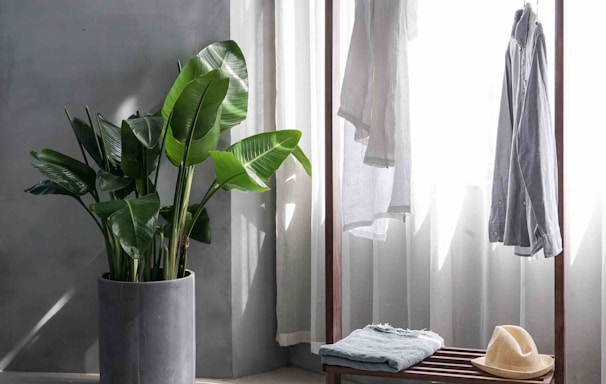 gray dress shirt hang on brown wooden rack in front of window with white curtain