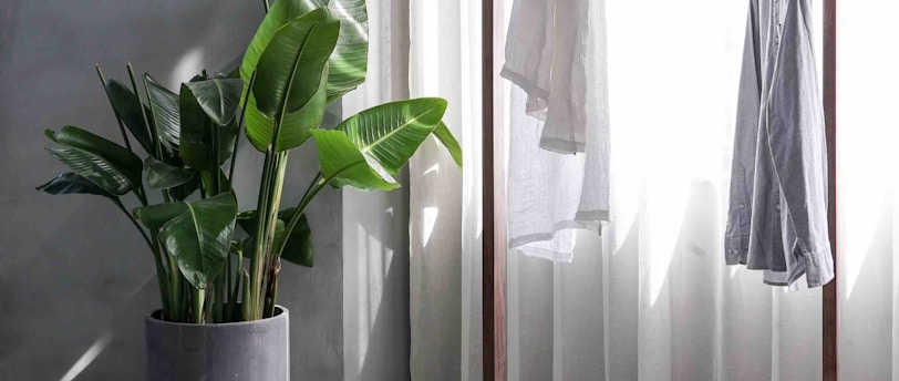 gray dress shirt hang on brown wooden rack in front of window with white curtain