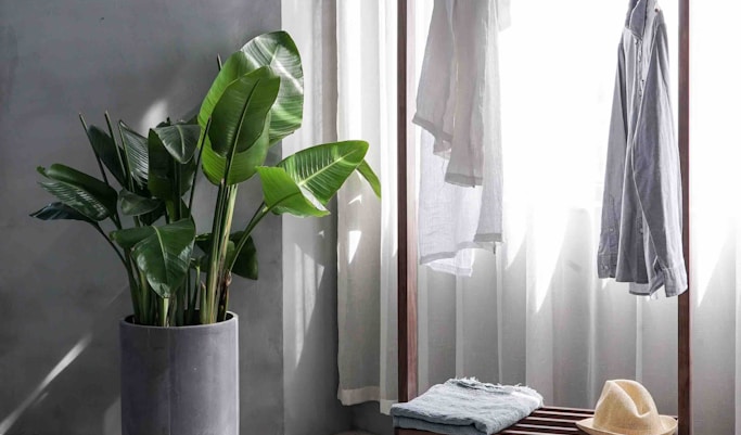 gray dress shirt hang on brown wooden rack in front of window with white curtain