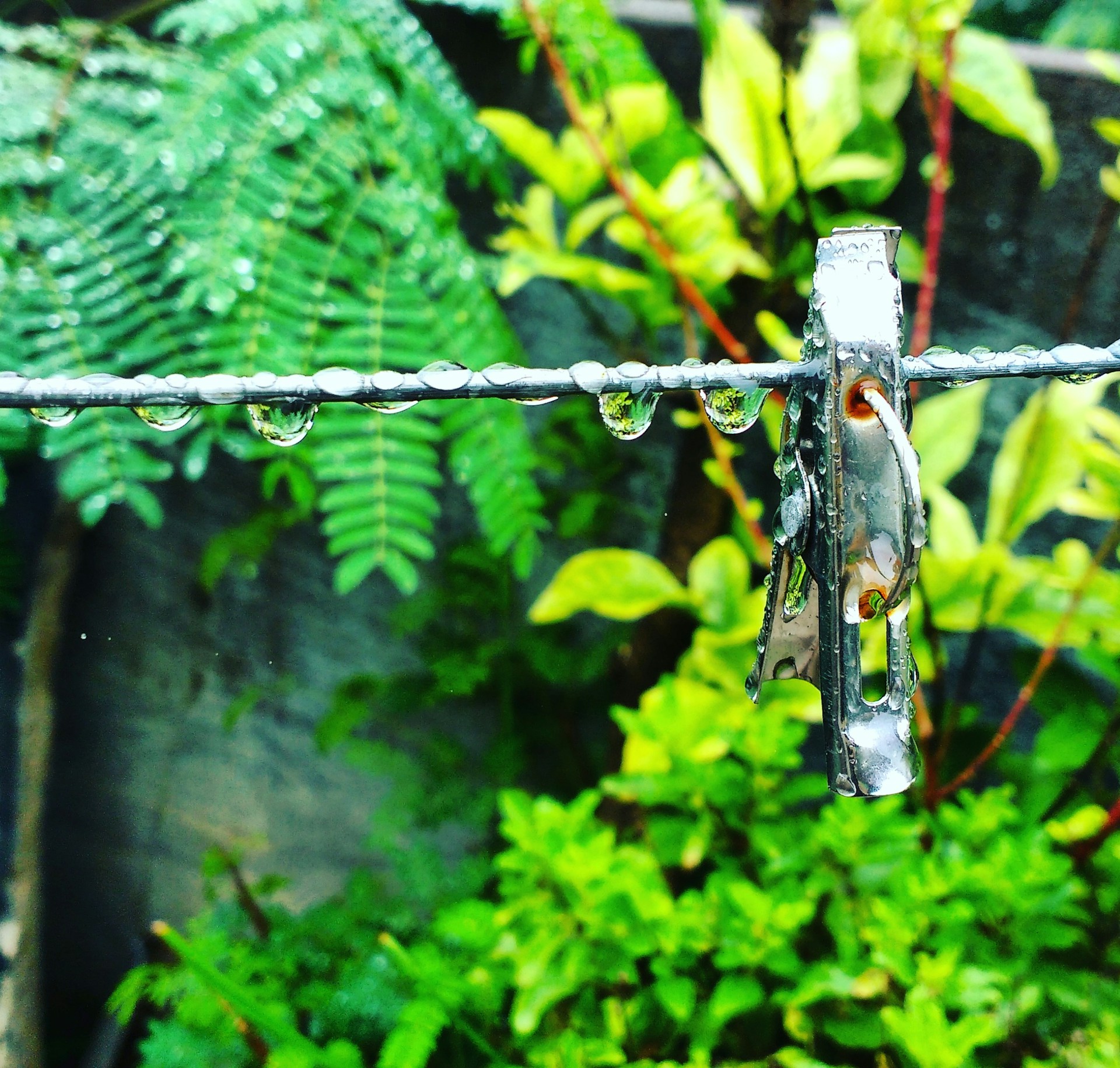 woman wearing yellow long-sleeved dress under white clouds and blue sky during daytime