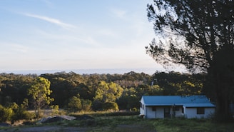 A cozy, modern tiny house nestled in a lush green landscape under a bright blue sky.