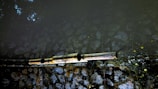 Two reflective pipes extend horizontally across a surface, possibly part of a water or drainage system. The background consists of natural stones arranged in a wall, with some vegetation growing around it. The lighting creates a contrast between the dark and light areas, highlighting the textures of the stones.