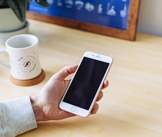 person holding rose gold iPhone 6