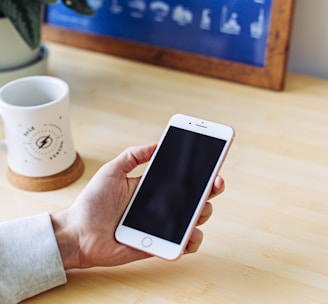 person holding rose gold iPhone 6