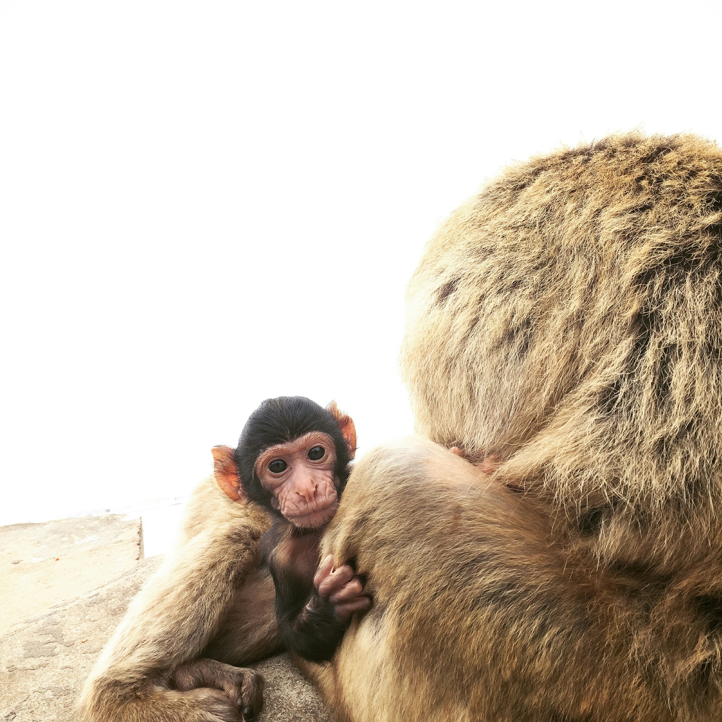 Ep 1478 Esther Calling - I Dont Want to Turn Into My Mother | Where Should We Begin? with Esther Perel