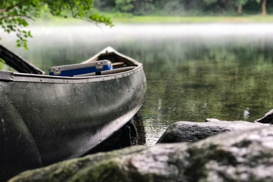 focus photo of gray and black canoe on body of water under green leaf tree in Wilbur Dam United States