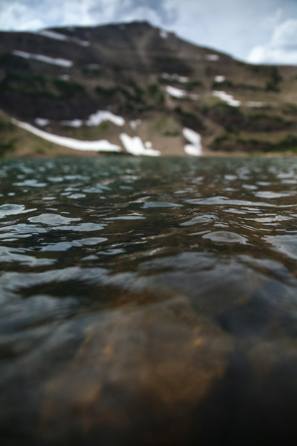 water falls in the middle of the forest