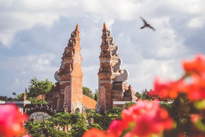 bird flying over brown concrete gate during daytime bali teams background