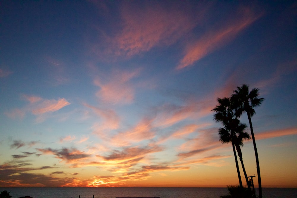 landscape photography of palm trees under cloudy sky during sunrise