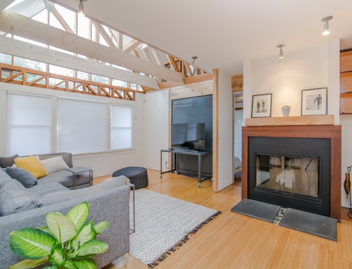 living room set with green dumb cane plant