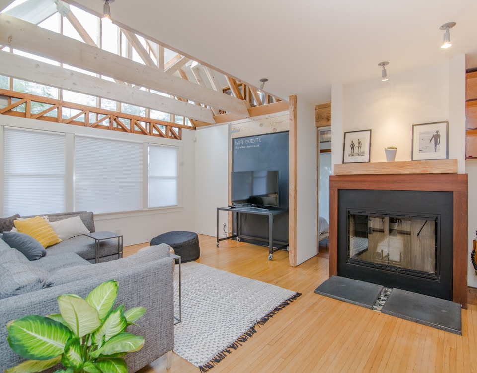 living room set with green dumb cane plant