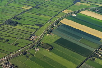 Aerial view of a patchwork of small farms showing uniform crop growth thanks to drone services.