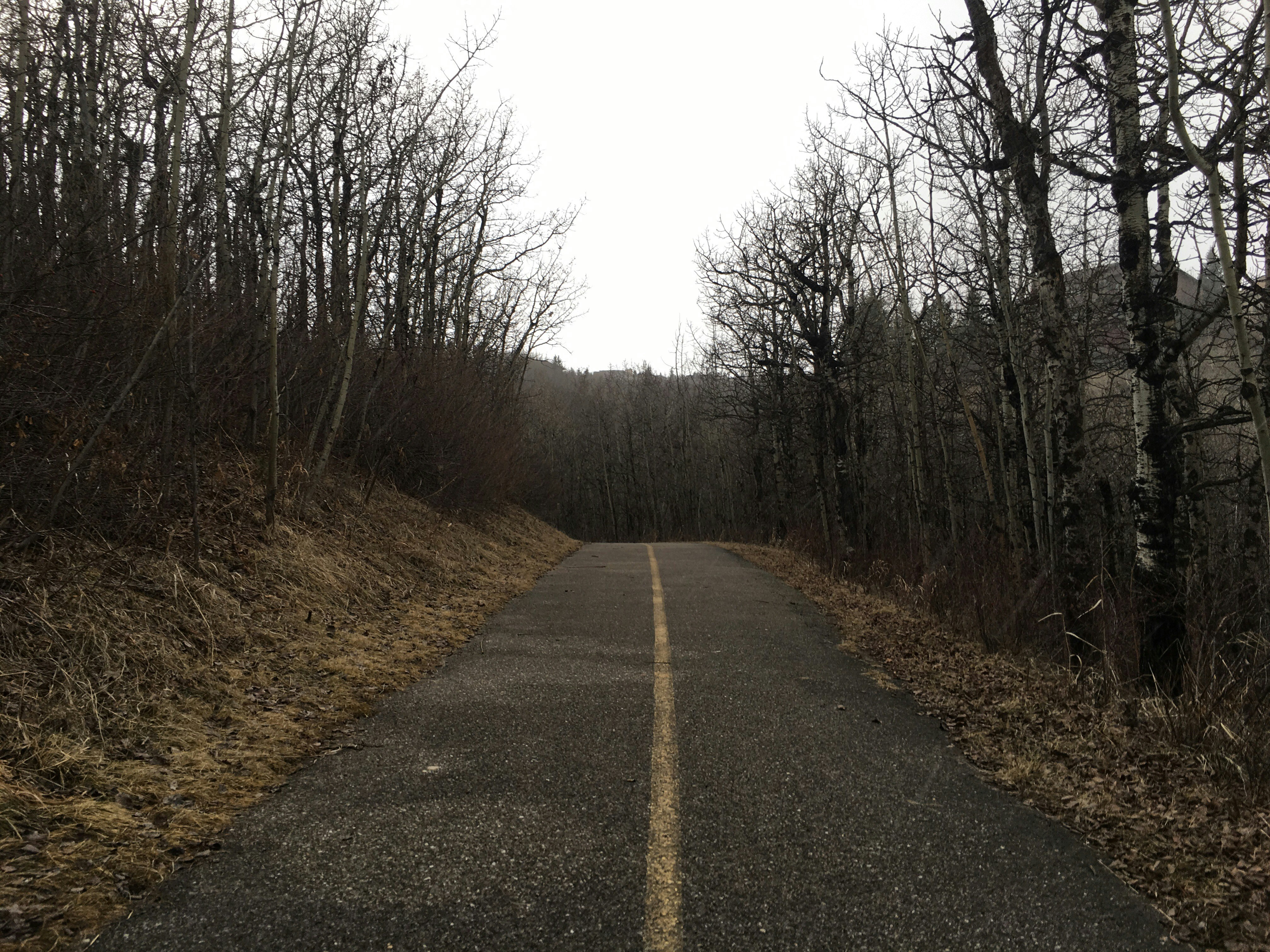 an empty road in the middle of a wooded area