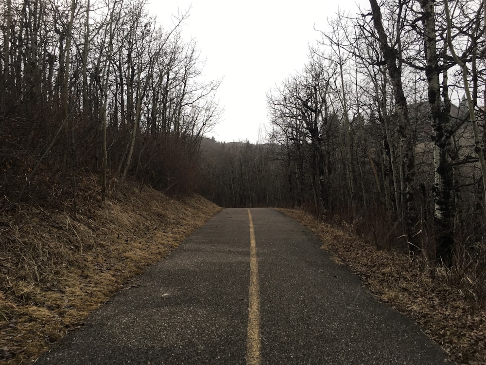 an empty road in the middle of a wooded area