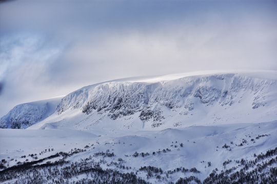 mountain covered by snow in Hallingskarvet nasjonalpark Norway