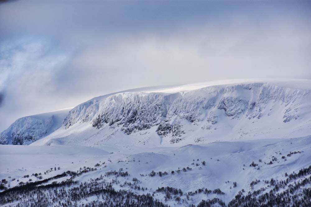 mountain covered by snow