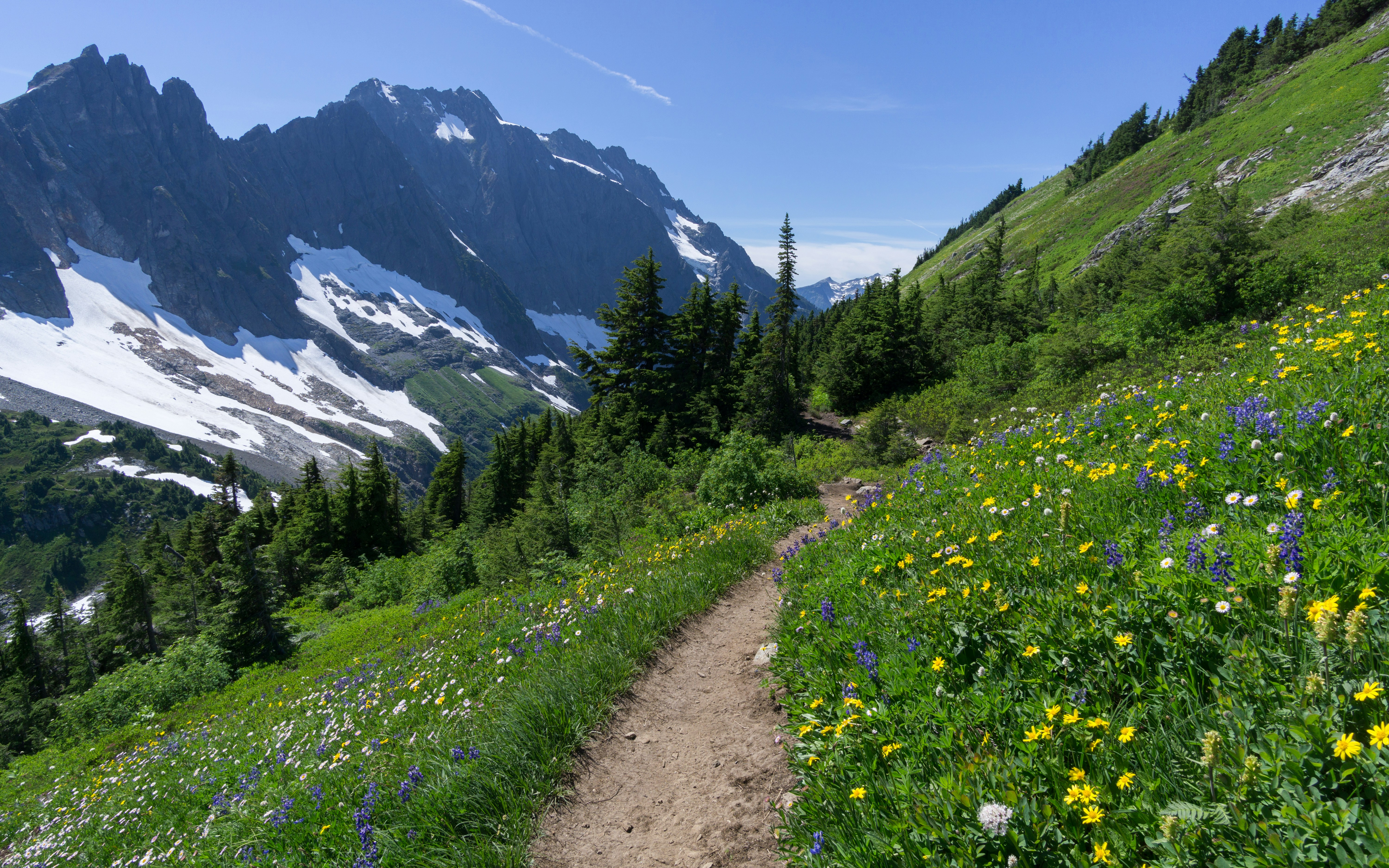 Valley of Flowers trek showing colorful alpine meadows with diverse wildflowers and mountain peaks