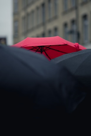 A vibrant red umbrella stands out prominently against a background of darker umbrellas. The scene is set in an urban area with a blurred building facade in the background, suggesting a rainy day.
