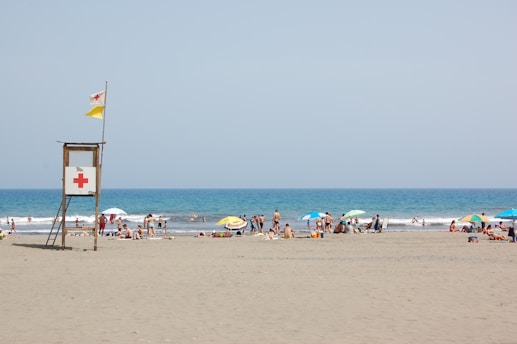 people at the beach