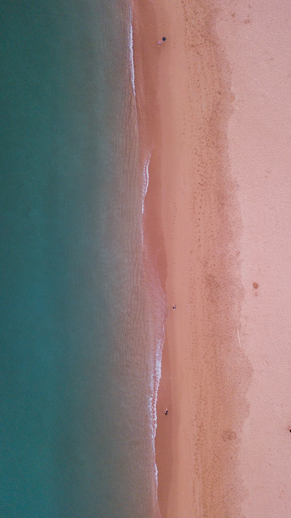 해변의 항공 사진