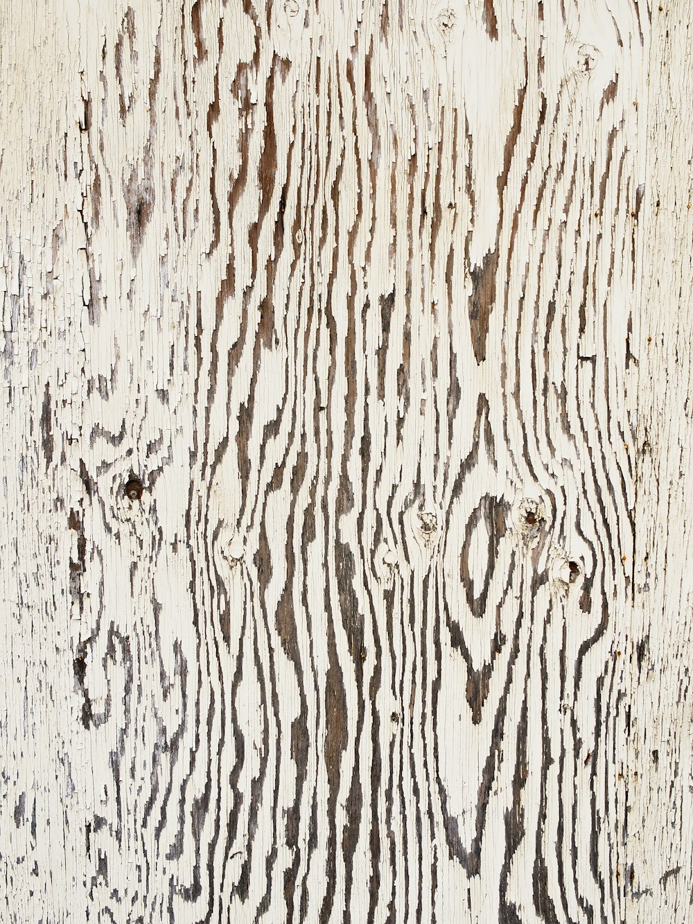 Photographie en gros plan d’une surface en bois brun