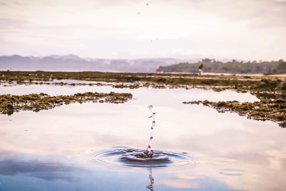 water drops