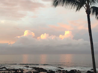 Elegant Palm Beach sunset with soft pastel skies and calm ocean waves.