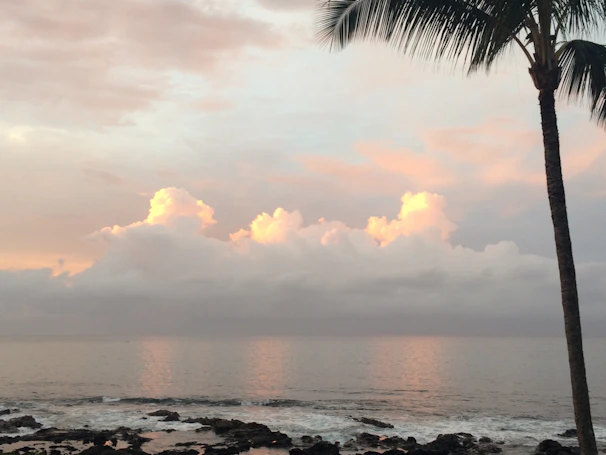 Elegant Palm Beach sunset with soft pastel skies and calm ocean waves.