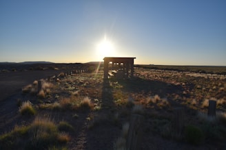 A modular gazebo with open sides, set on a stone patio, catching the golden light of sunset.
