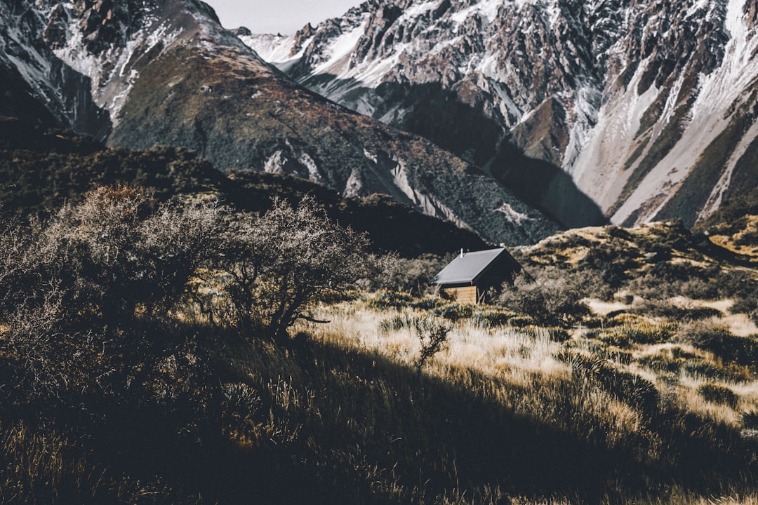 Glacial landform photo spot Fox Glacier Southern Alps