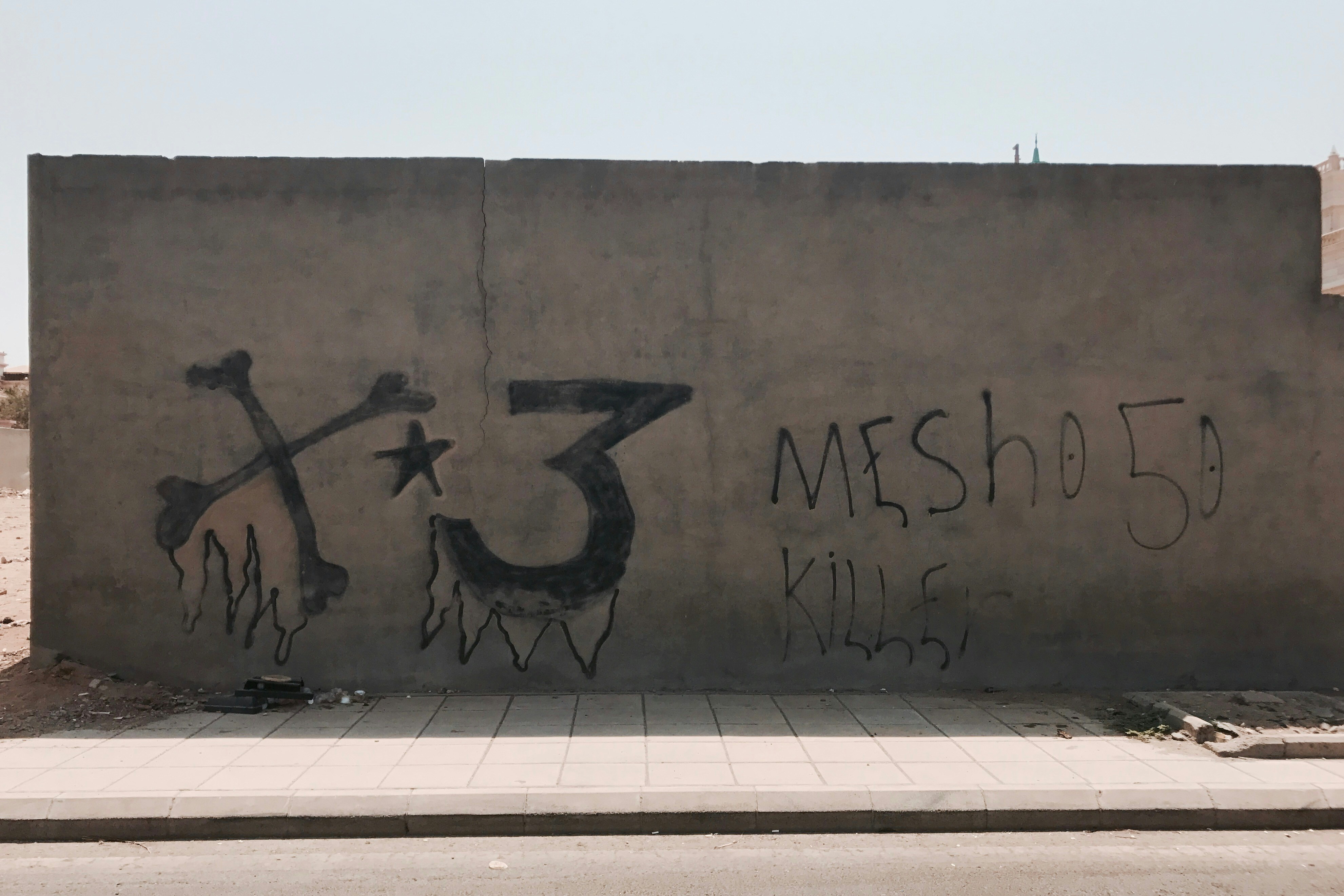 Netizens Call Out Fake Image Used by Trump Linked to MS-13 Gang