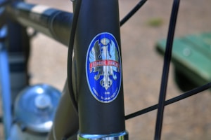 The close-up view of a bicycle frame showcases a detailed logo featuring a crest with a blue background and an emblem of a royal symbol. The words 'Edoardo Bianchi' are prominently displayed within a red ribbon across the emblem.
