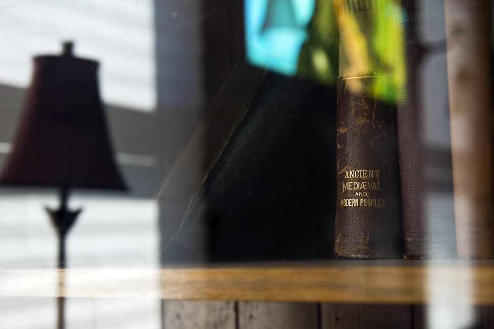 brown Ancient Medieval and Modern People book on shelf