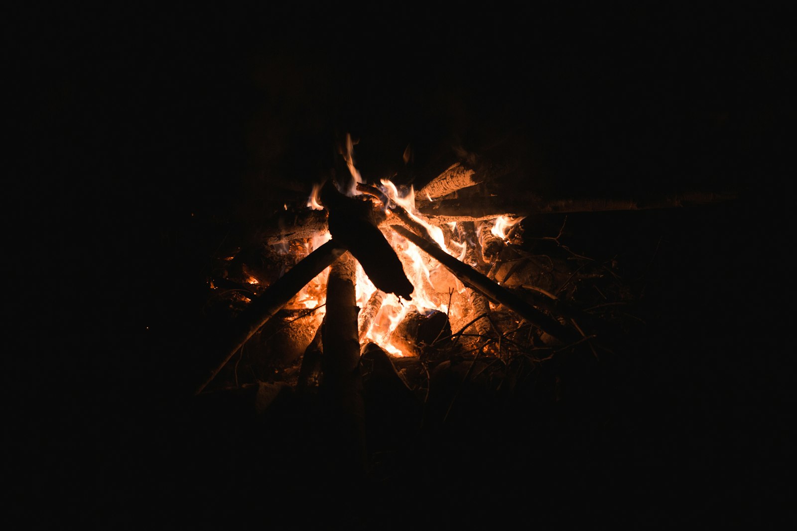 Sigma 20mm F1.4 DG HSM Art sample photo. Closeup photography of bonfire photography