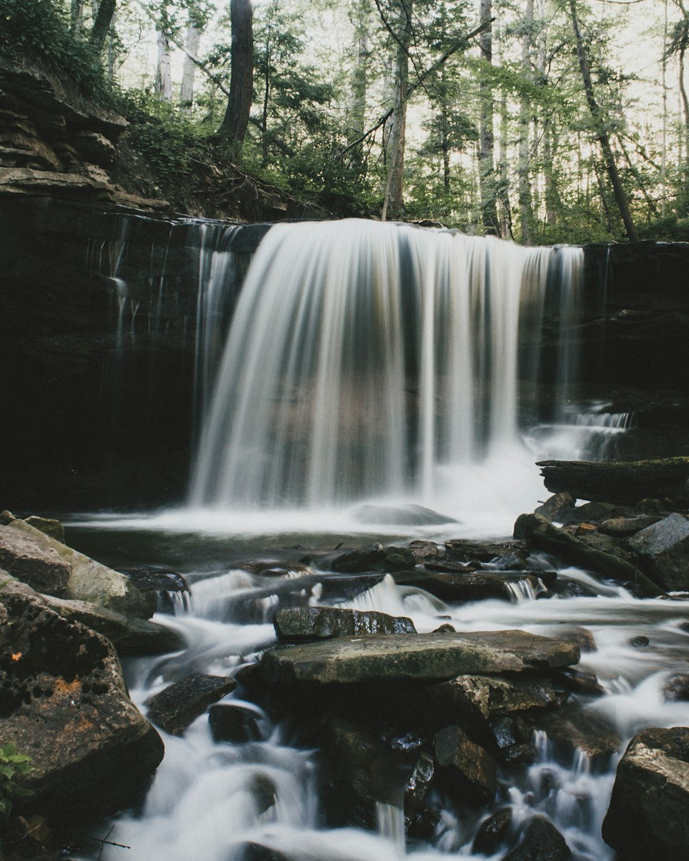 waterfalls surrounded by green leaf trees