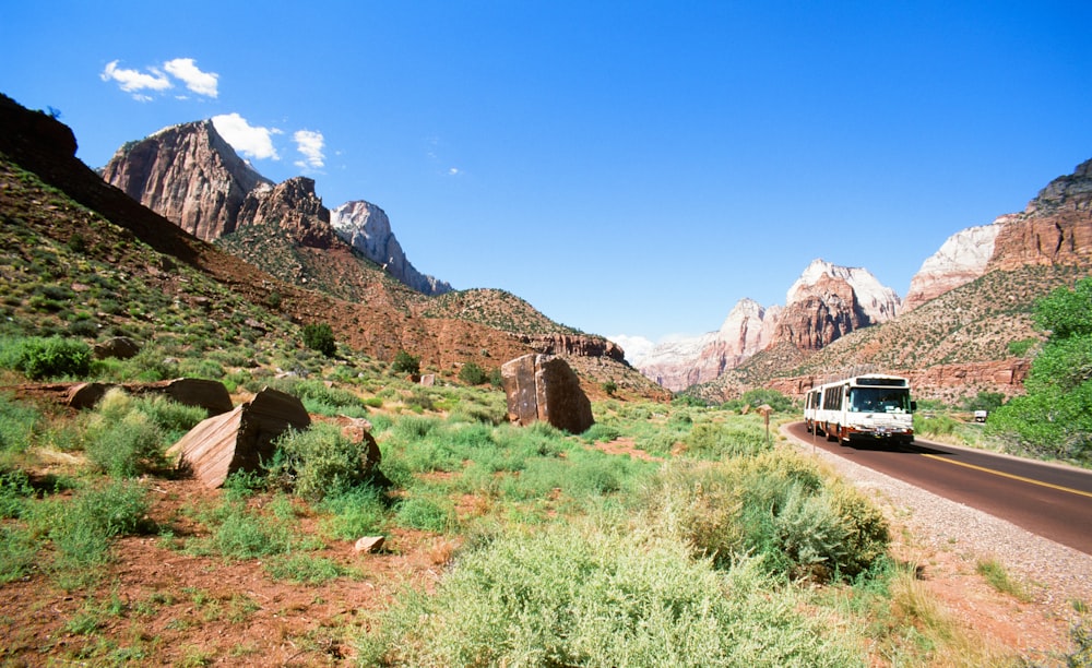 white bus beside green grass field