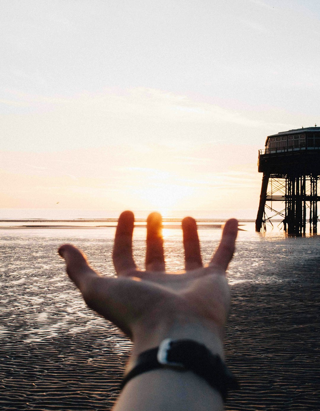 person showing left hand near body of water