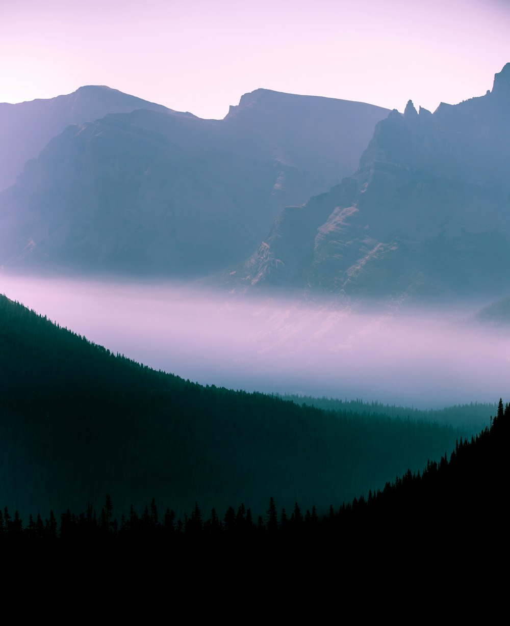 foggy mountain during daytime