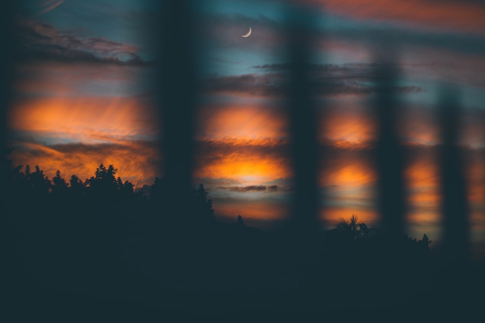 crescent moon above forest during nightime