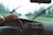 person driving the car
