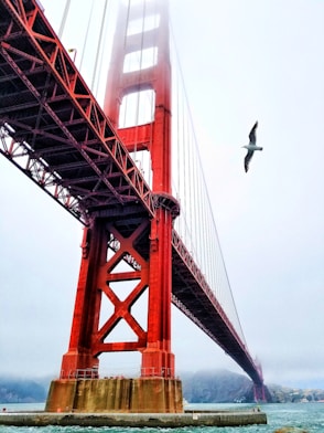low angle photography of Golden State Bridge