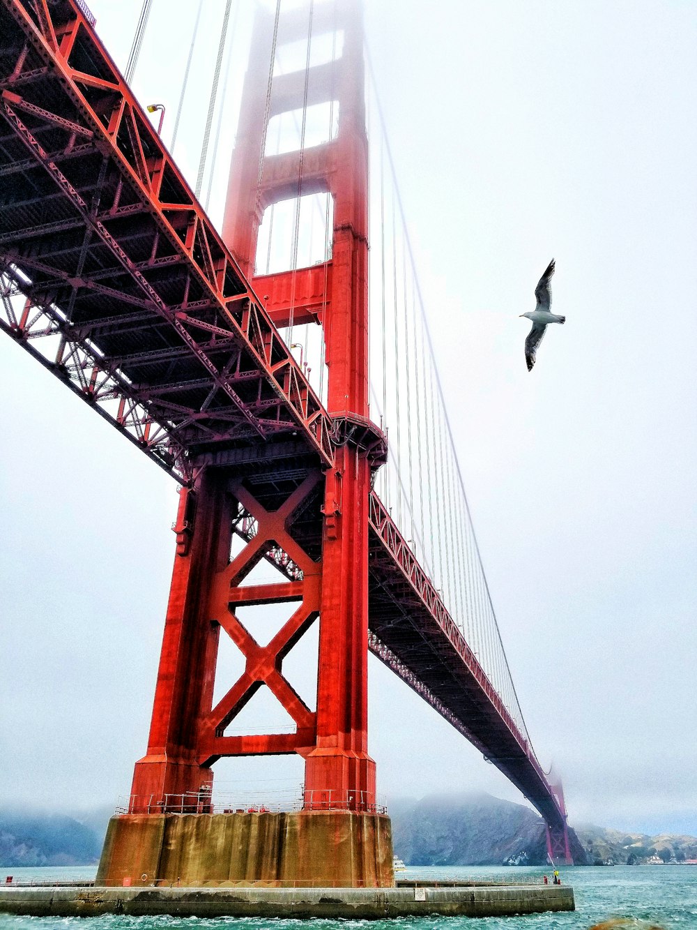 Tiefwinkelfotografie der Golden State Bridge