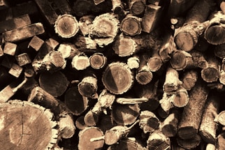 A collection of variously sized cut logs and wooden blocks stacked in a pile. The rings and rough textures of the wood are clearly visible, suggesting freshly chopped timber. The sepia tone adds a vintage or rustic feel to the image.