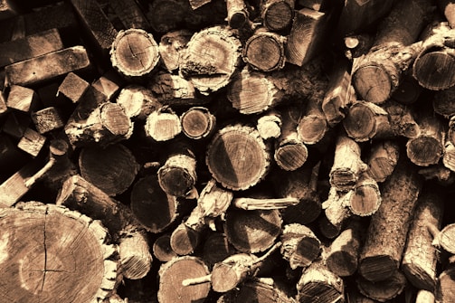 A collection of variously sized cut logs and wooden blocks stacked in a pile. The rings and rough textures of the wood are clearly visible, suggesting freshly chopped timber. The sepia tone adds a vintage or rustic feel to the image.