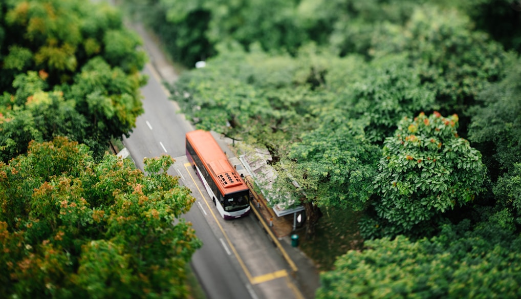 selective focus photo of orange and white bus surrounded with trees