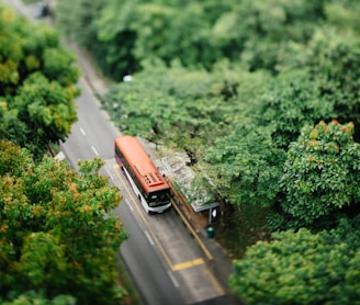 selective focus photo of orange and white bus surrounded with trees