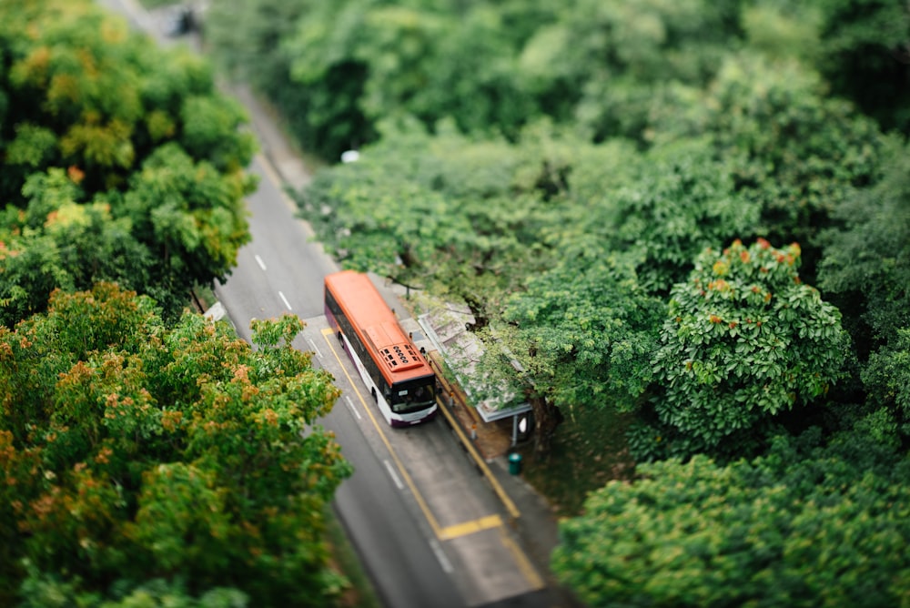 木々に囲まれたオレンジと白のバスのセレクティブフォーカス写真